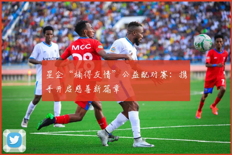 星企“楠得友情”公益配对赛：携手开启慈善新篇章