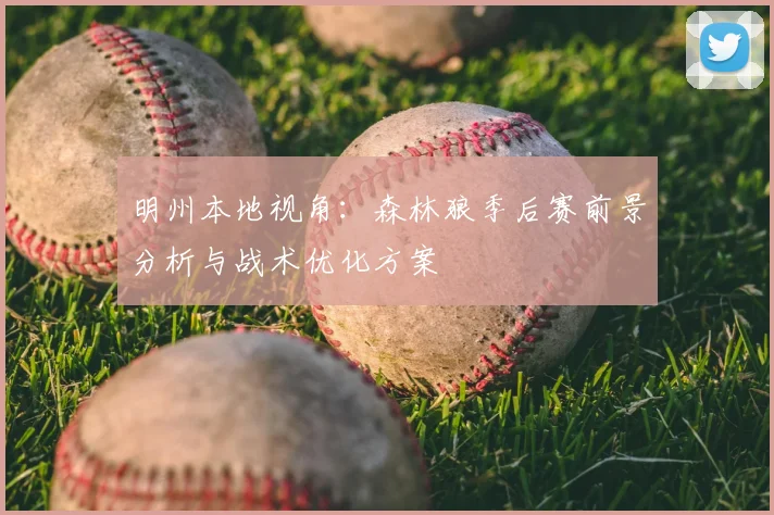 明州本地视角：森林狼季后赛前景分析与战术优化方案