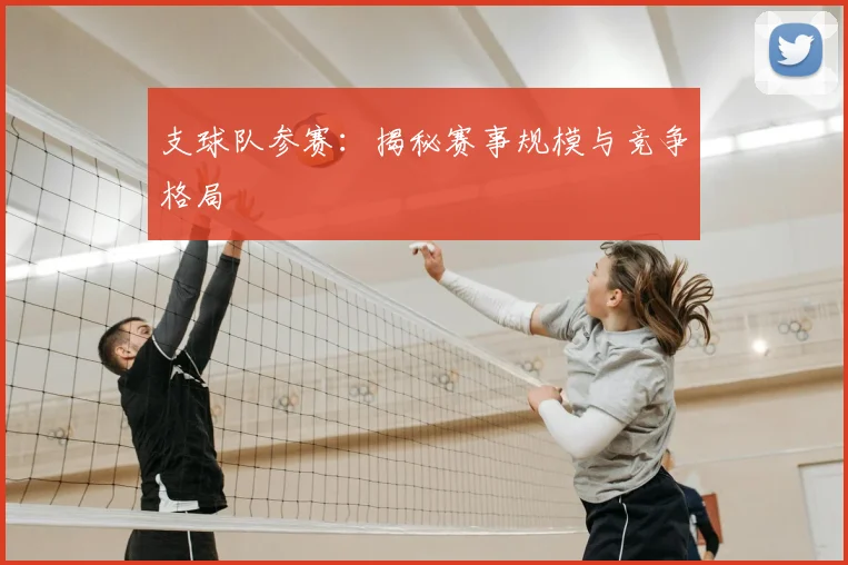 支球队参赛：揭秘赛事规模与竞争格局