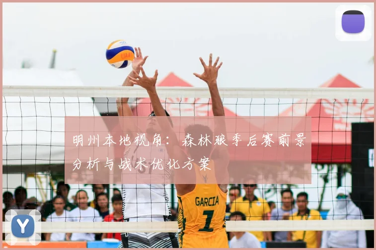 明州本地视角：森林狼季后赛前景分析与战术优化方案